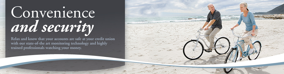 Convenience and Security. banner image